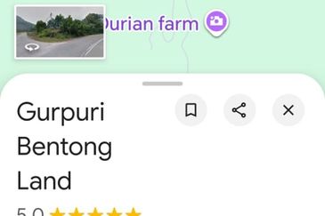 Bentong Pahang Durian Farm for Sale 10 acres premium durian land 