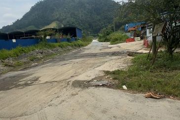 Bentong Pahang Durian Farm for Sale 10 acres premium durian land 