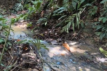 Kuala Kubu Bharu Agriculture Land for Sale Mukim Ampang Pecah, Hulu Selangor