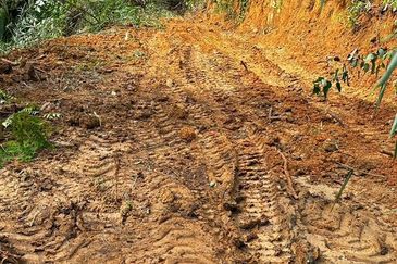 Kuala Kubu Bharu Agriculture Land for Sale Mukim Ampang Pecah, Hulu Selangor