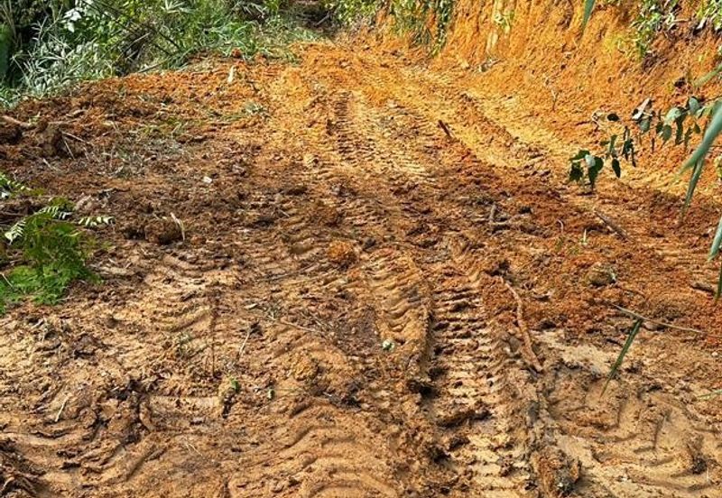 Kuala Kubu Bharu Agriculture Land for Sale Mukim Ampang Pecah, Hulu Selangor