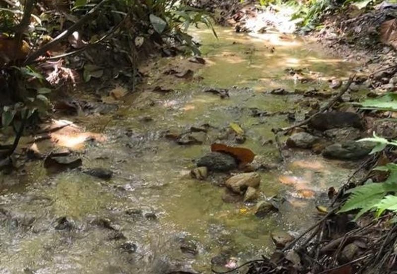 Kuala Kubu Bharu Agriculture Land for Sale Mukim Ampang Pecah, Hulu Selangor