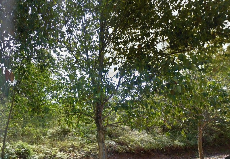 Bukit Beruntung Golf & Country Club Serendah Bungalow Lot for Sale