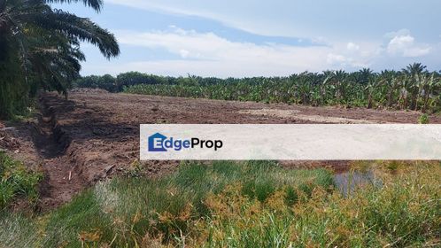 Serkat Pontian Kukup Johor Agriculture Land For Sale, Johor, Pontian