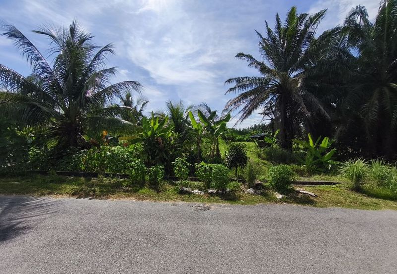 Taman Langat Utama 3 @ Jalan Halia 6