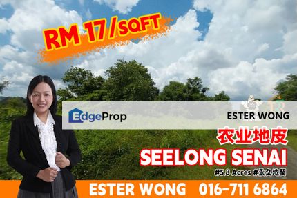 Seelong Senai Agriculture Land For Sale, Johor, Senai