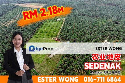 Sedenak Agriculture Land For Sale, Johor, Kulai
