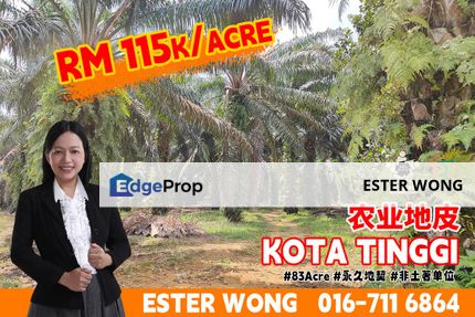 Kota Tinggi Agriculture Land For Sale, Johor, Ulu Tiram
