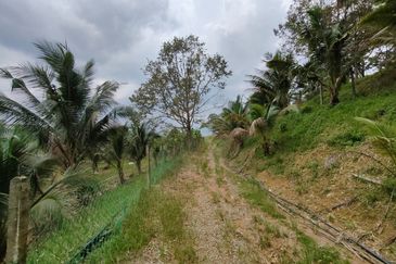 Jalan Kota Tinggi