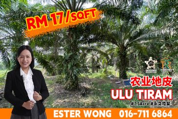 Ulu Tiram Agriculture Land For Sale