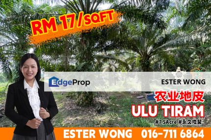 Ulu Tiram Agriculture Land For Sale, Johor, Ulu Tiram