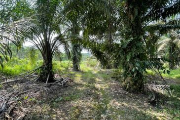 Ulu Tiram Agriculture Land For Sale