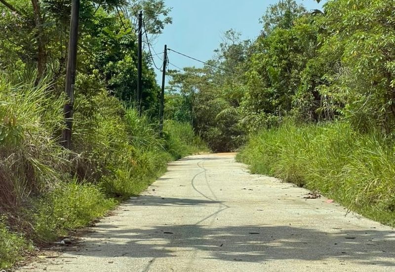 Ulu Tiram Agriculture Land For Sale