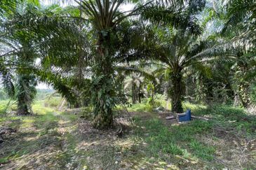 Ulu Tiram Agriculture Land For Sale