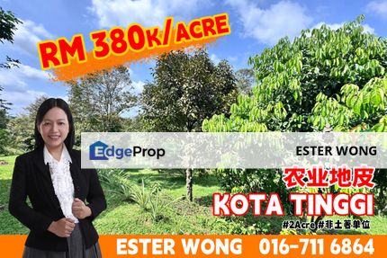 Kota Tinggi Agriculture Land For Sale, Johor, Ulu Tiram