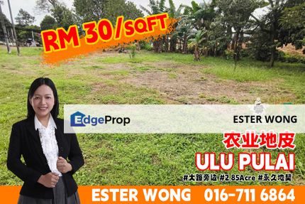 Ulu Pulai Agriculture Land For Sale, Johor, Gelang Patah