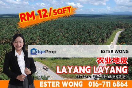 Layang Layang Agriculture Land For Sale, Johor, Layang Layang