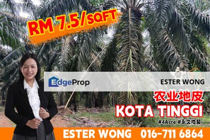 Kota Tinggi Agriculture Land For Sale, Johor, Ulu Tiram