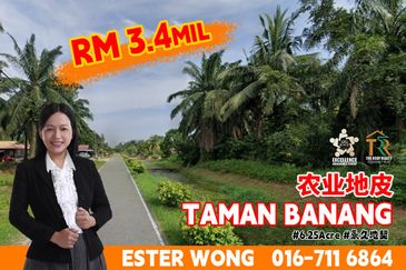 Taman Banang Agriculture Land For Sale