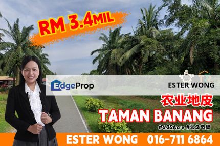 Taman Banang Agriculture Land For Sale, Johor, Batu Pahat