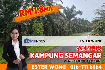 Kampung Semangar Agriculture Land For Sale, Johor, Ulu Tiram