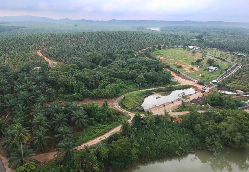 Nam Heng Agriculture Land For Sale