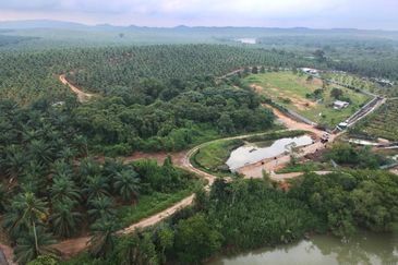 Nam Heng Agriculture Land For Sale