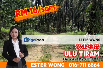 Ulu Tiram Agriculture Land For Sale, Johor, Ulu Tiram