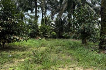 Ulu Tiram Agriculture Land For Sale