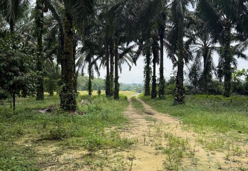 Ulu Tiram Agriculture Land For Sale