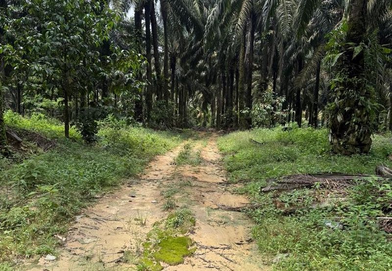 Ulu Tiram Agriculture Land For Sale