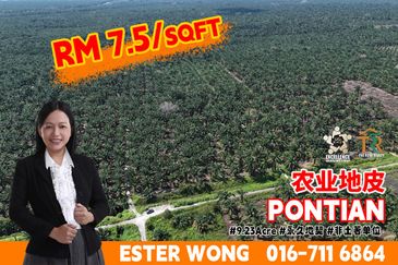 Rimba Terjun Pontian