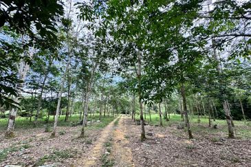 Taman Desa Cemerlang