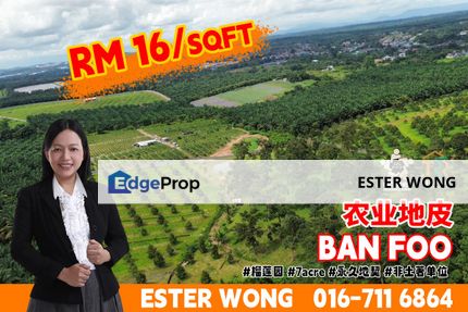 Ban Foo Agricultural Land For Sale, Johor, Ulu Tiram
