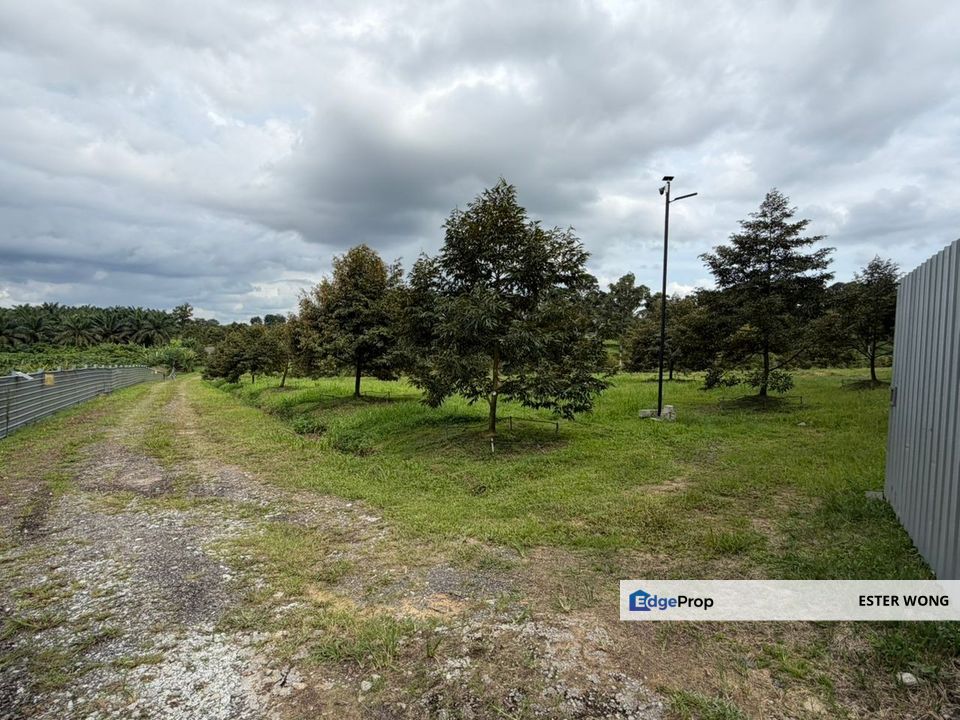 Ban Foo Agricultural Land For Sale, Johor, Ulu Tiram