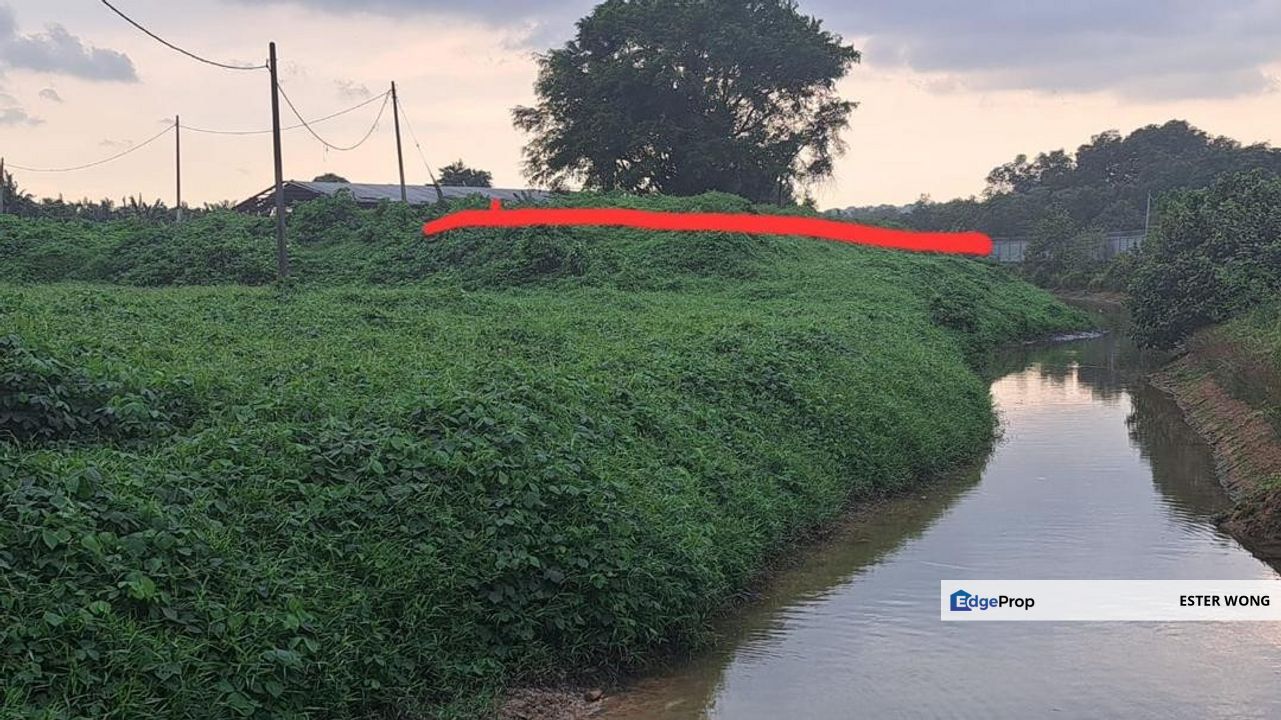 Pasir Putih Agricultural Land For Sale, Johor, Pasir Gudang