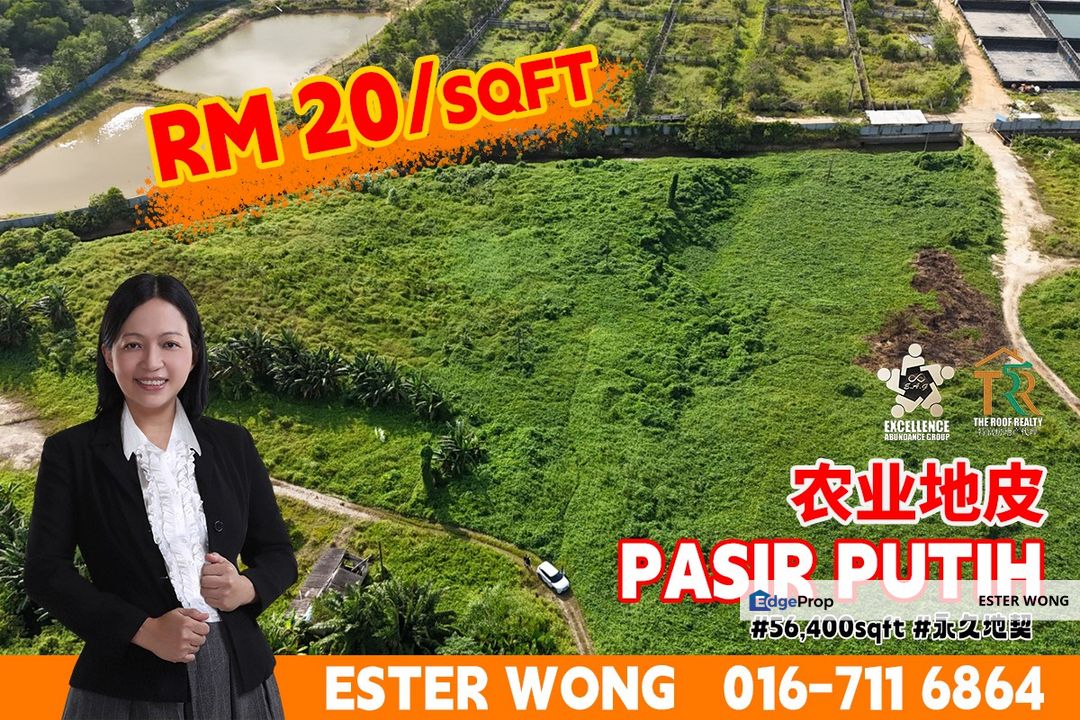Pasir Putih Agricultural Land For Sale, Johor, Pasir Gudang
