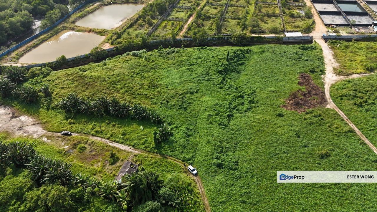 Pasir Putih Agricultural Land For Sale, Johor, Pasir Gudang