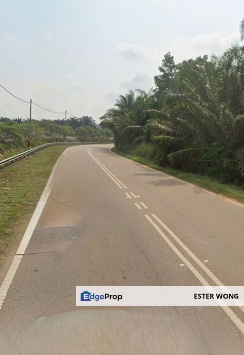 Yong Peng Agricultural Land For Sale, Johor, Yong Peng