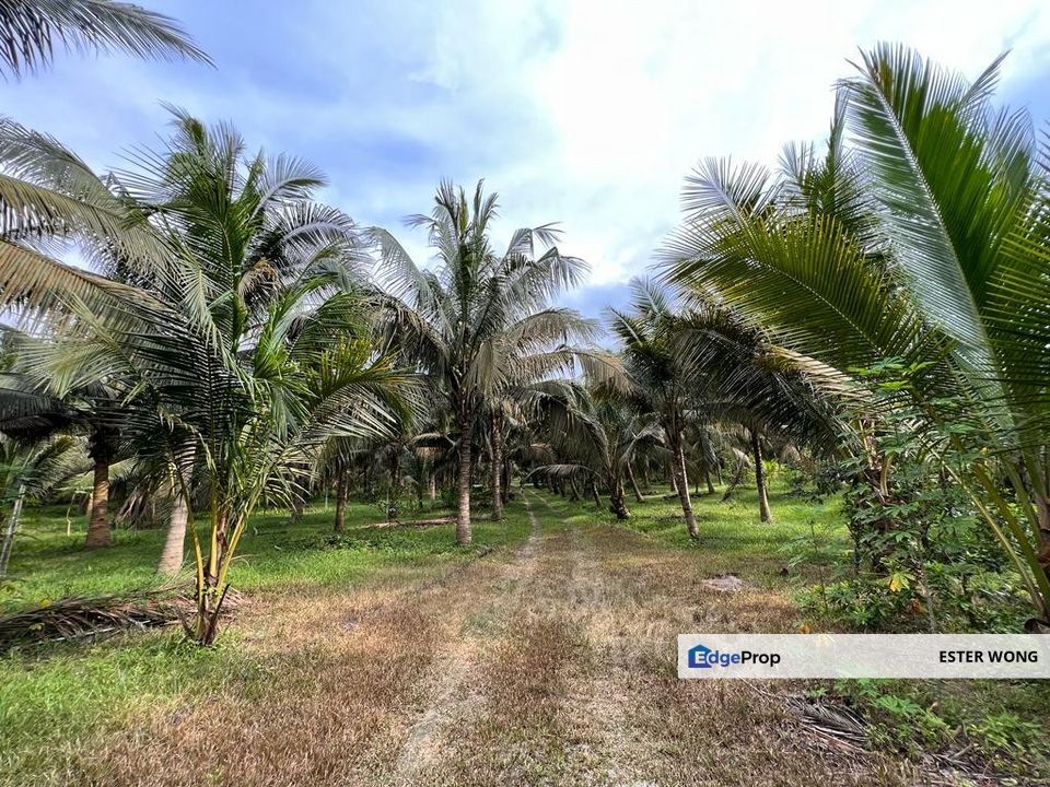 Kluang Agricultural Land For Sale, Johor, Kluang