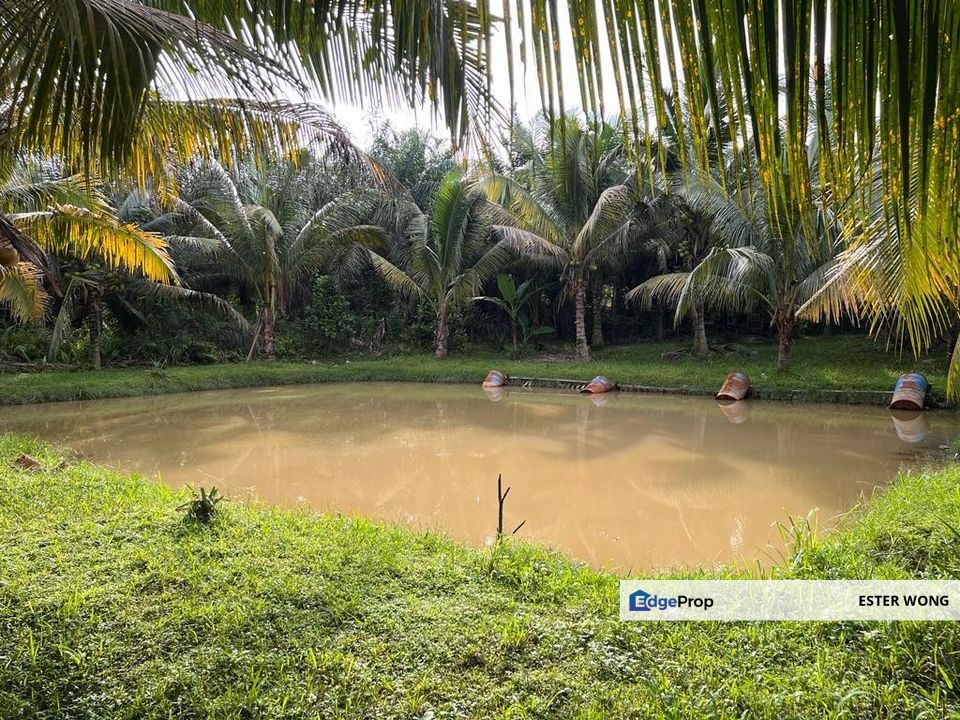 Kluang Agricultural Land For Sale, Johor, Kluang
