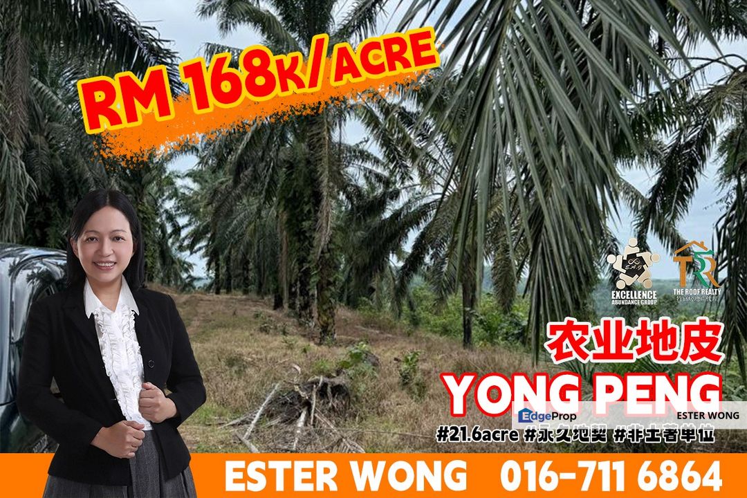 Yong Peng Agricultural Land For Sale, Johor, Yong Peng
