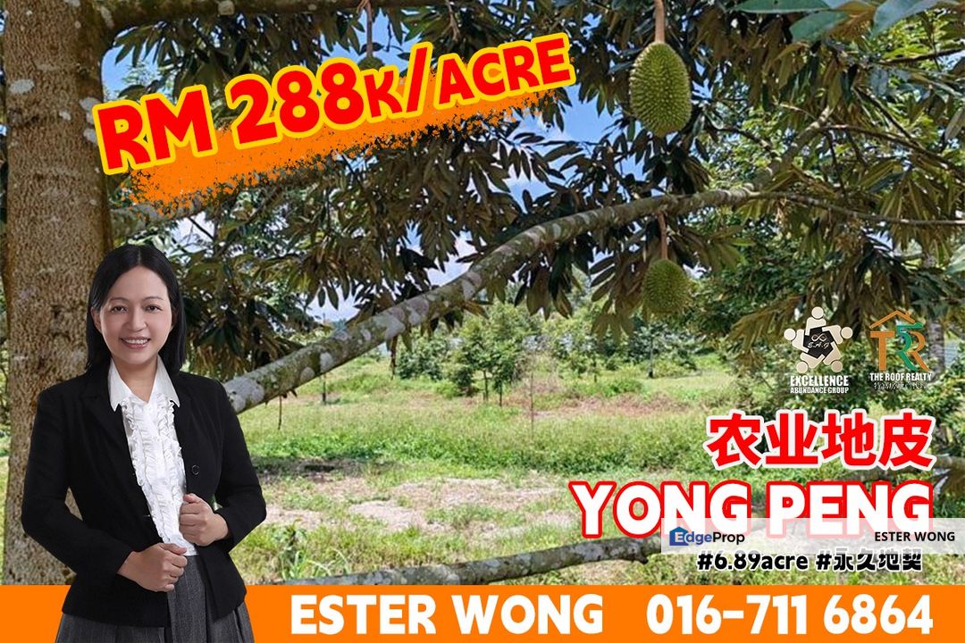 Yong Peng Agricultural Land For Sale, Johor, Yong Peng