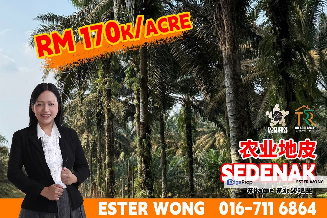 Sedenak Agricultural Land For Sale, Johor, Kulai