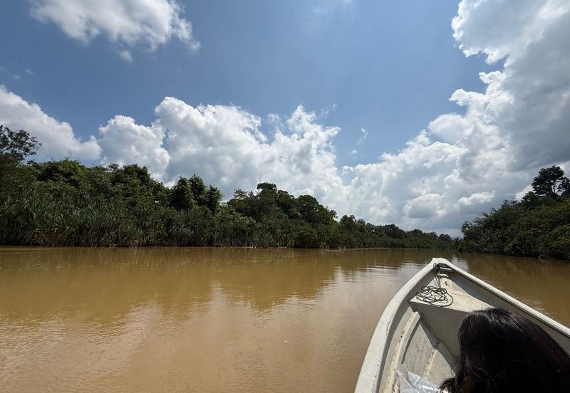 Mawai Farm Resort and Agriculture Land for Sale