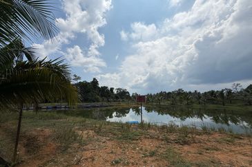 Mawai Farm Resort and Agriculture Land for Sale