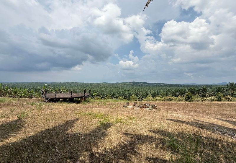 Mawai Farm Resort and Agriculture Land for Sale