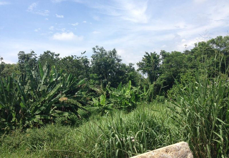 Dengkil Land Industrial Land Agriculture Land Kuala Langat, Banting, Klang, Puchong, Shah Alam, Sepang