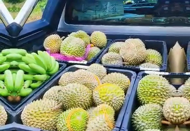 Rawang Ulu Yam highland durian farm for sale Selangor