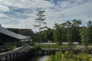 Symphony Hills Beethoven